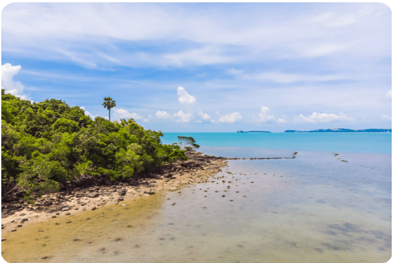 Elegant Andaman