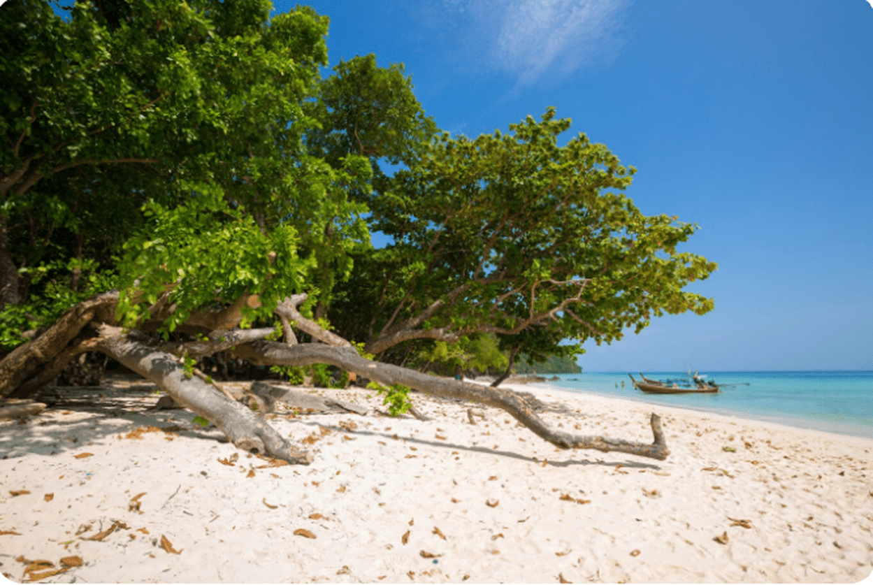 Enchanting Andaman