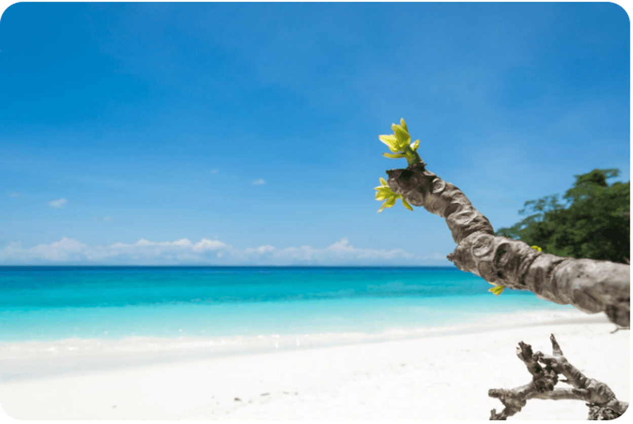 Serene Andaman